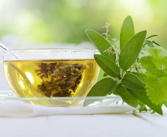 What is Green Tea
